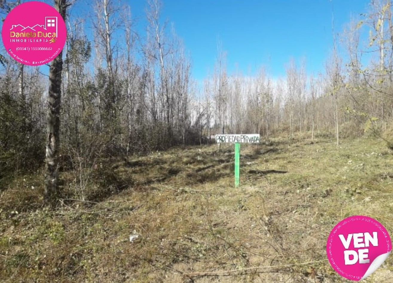 TERRENO EN VENTA-YACANTO