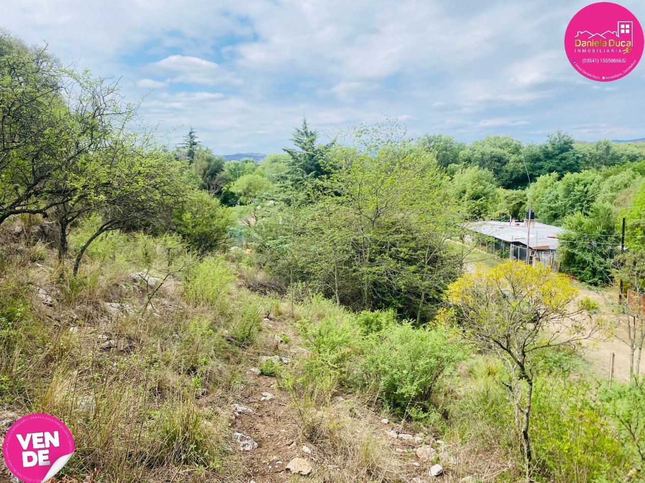 TERRENO EN VENTA ICHO CRUZ