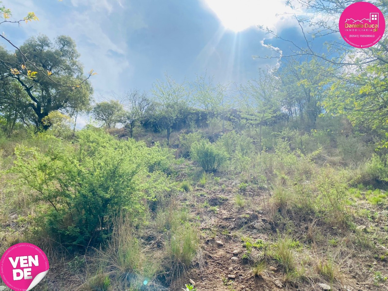 TERRENO EN VENTA ICHO CRUZ